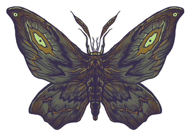 Moth Icon