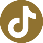 TikTok Icon